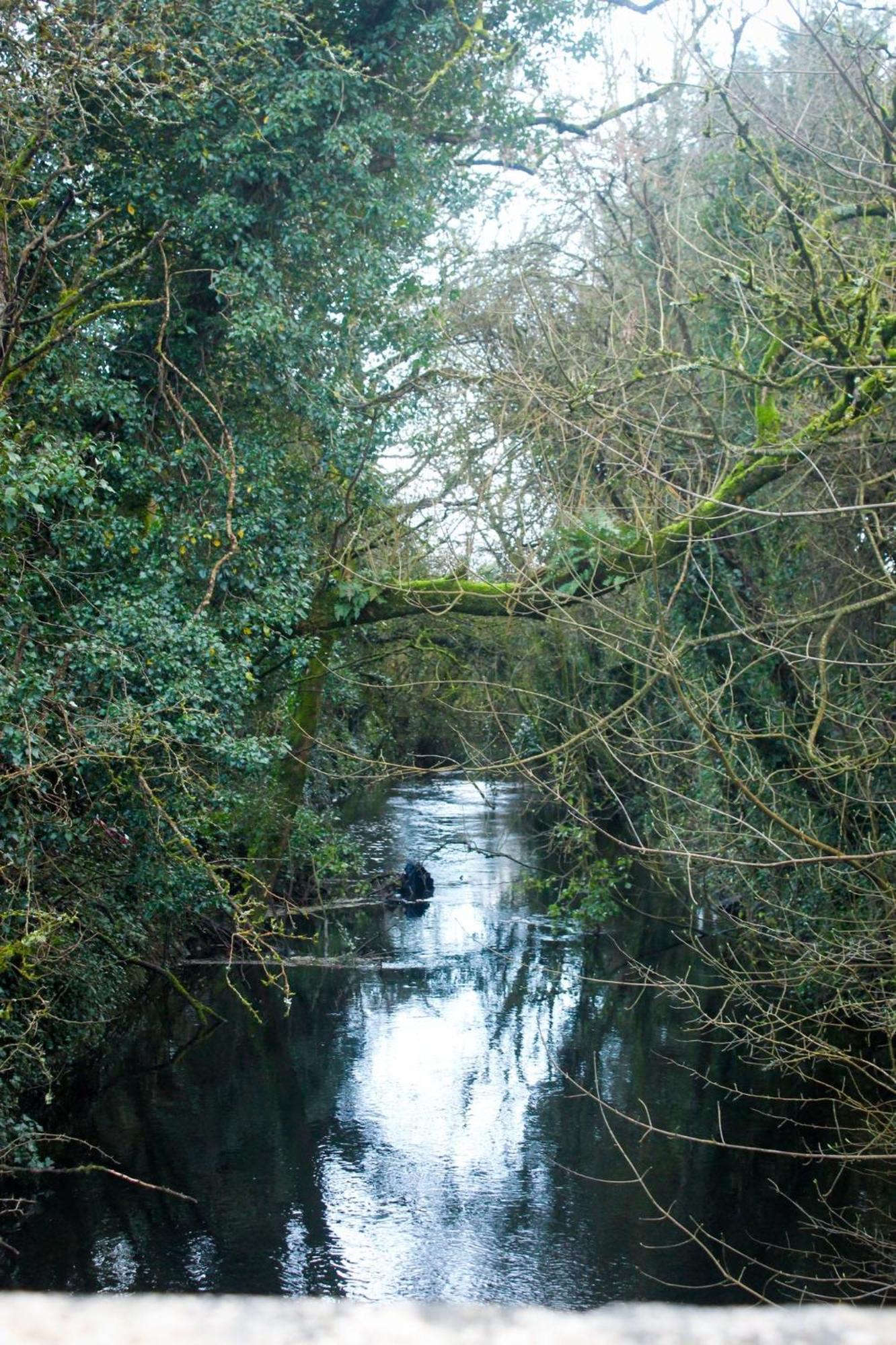 Riverside Cottage In The Burren Corofin  Exterior foto